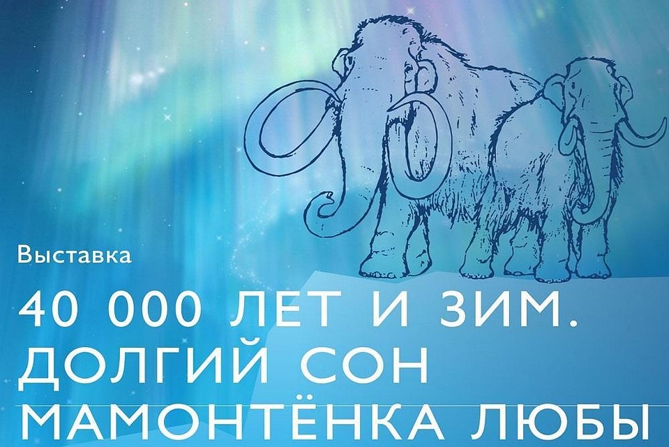 Тюменцы увидят мамонтенка Любу. Фото - департамент культуры Тюменской области.