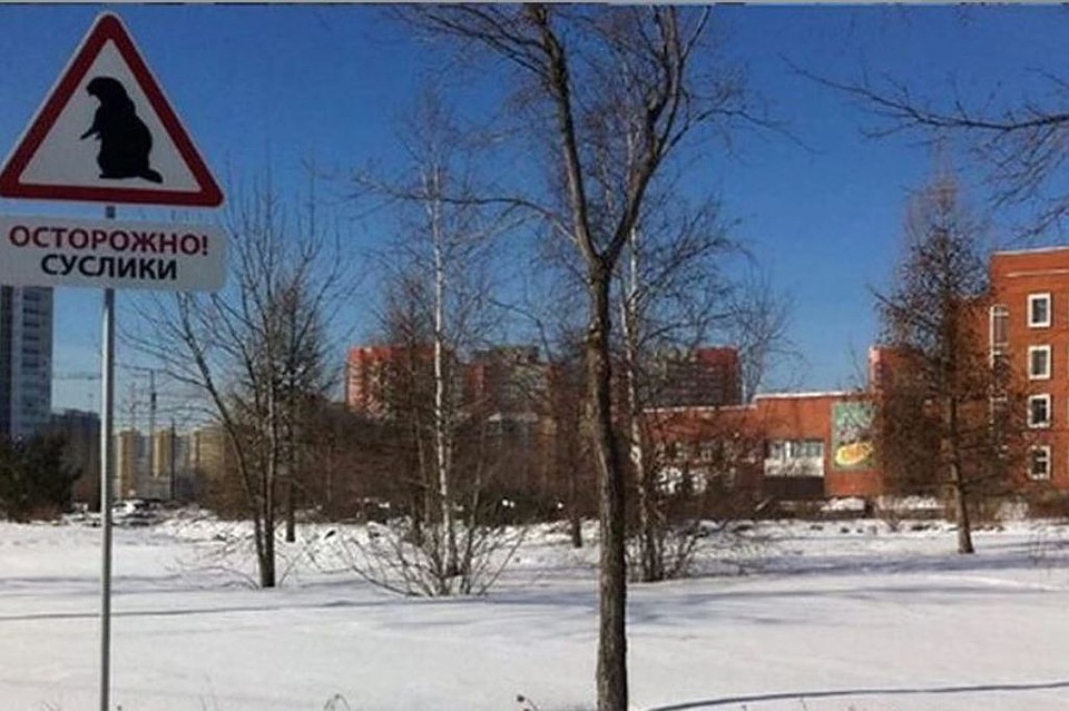 В ЧелГУ объявили карантин. Фото: группа "Ботанический сад ЧелГУ" vk.com