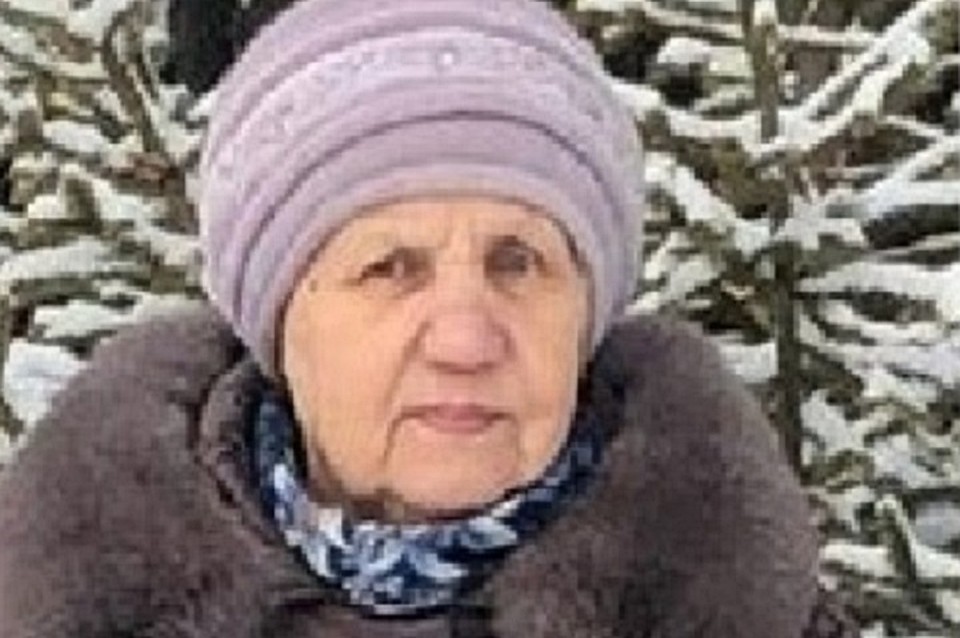 Фото: "Лиза Алерт"