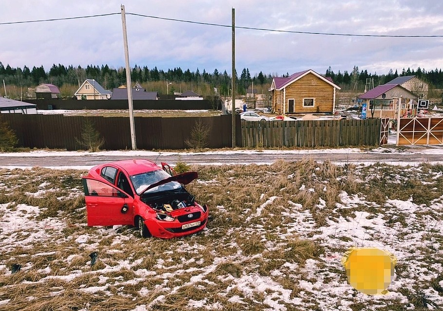 В Ленобласти погиб водитель с большим стажем, который напился перед поездкой. Фото: vk.com/dorinspb