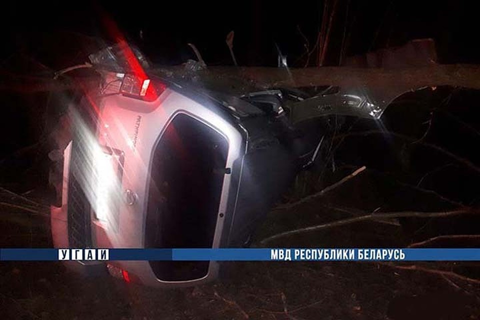Водитель пытался оторваться от милицейской машины, врезался в дерево и погиб. Фото: МВД.