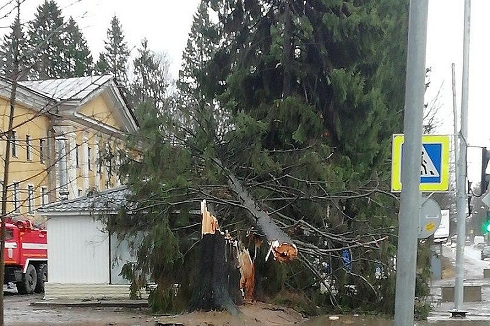 Последствия шторма оказались неприятными, но не катастрофичными. Фото: vk.com/spb_today
