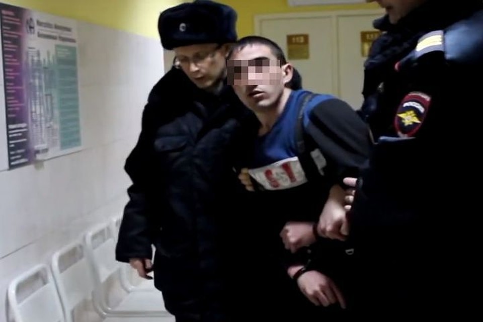 Дебошир в поезде ударил полицейского. Фото: стоп-кадр