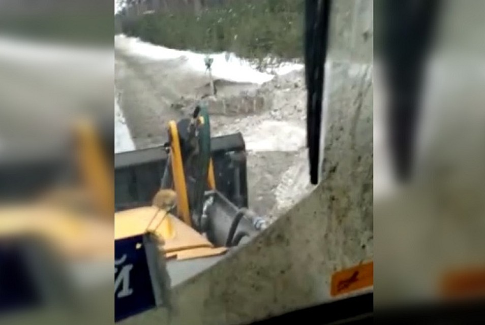 Фото: скриншот с видео