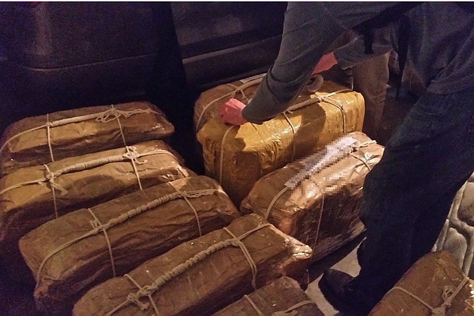 Русских моряков задержали на судне, которое везло бананы и 100 килограммов кокаина