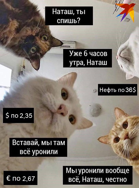 Курсы валют меняются более чем стремительно