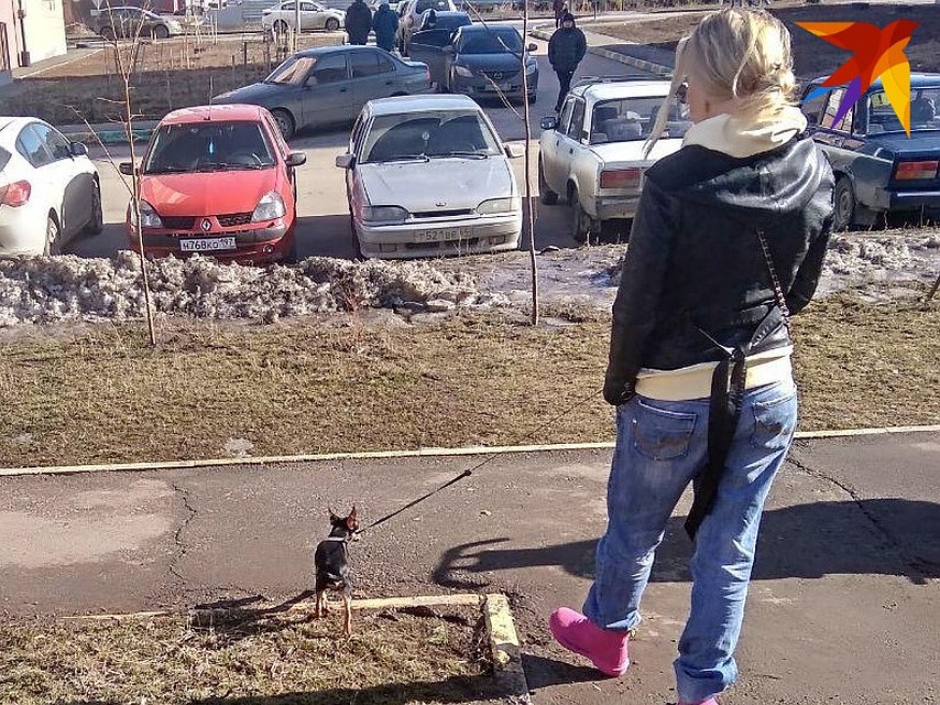 Владельцам собак, гуляющих без намордников, грозит протокол об административном нарушении
