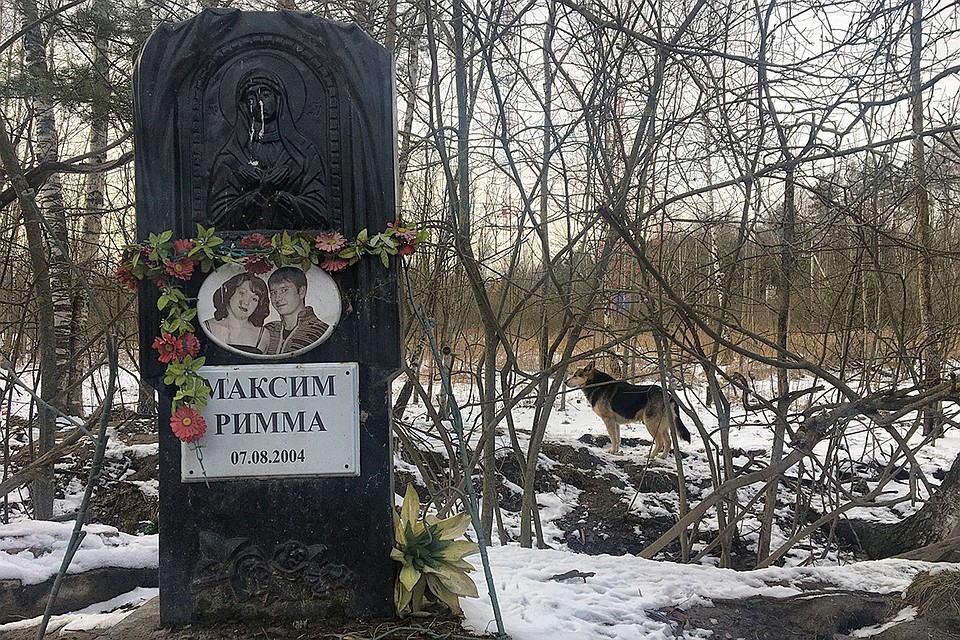 Пес остался жить у места ДТП, где погибли его хозяева.