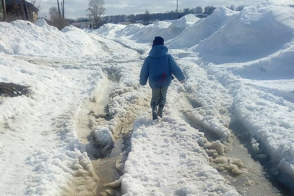 Из-за бездорожья жители поселка полностью отрезаны от внешнего мира. Фото: «Гражданский патруль»