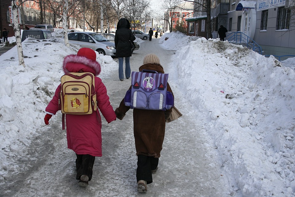 Весенние каникулы у школьников продлятся до 1 апреля, а затем ученики будут получать образование дистанционно