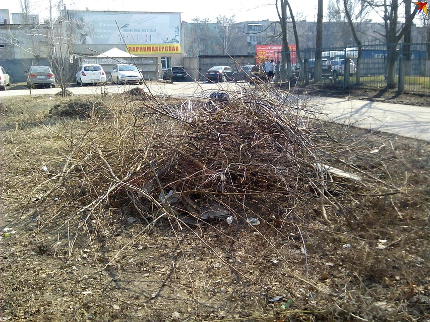 Разводить костры можно на площадках, отделенных противопожарной минерализованной полосой