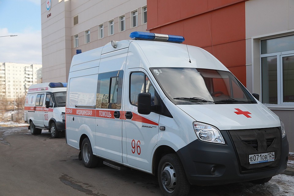 В Красноярском крае открылась горячая линия по коронавирусу для пожилых людей и инвалидов