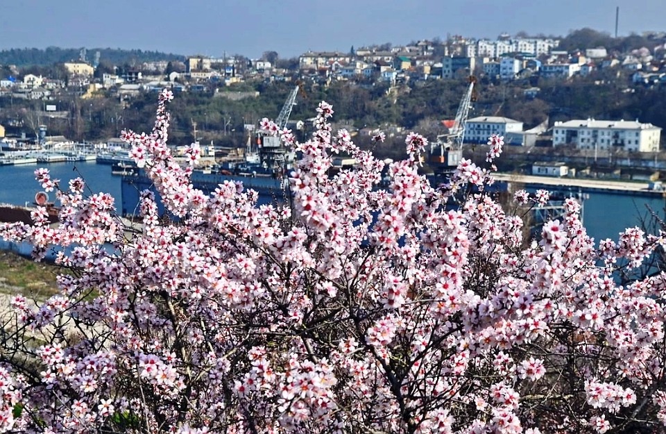 Весна в Севастополе