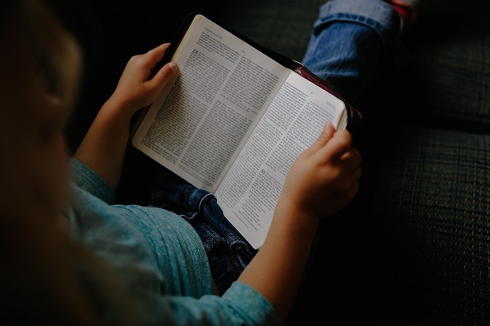 Для тюменских детей и родителей сделали подборку книг для чтения на карантине. Фото - pixabay.com.