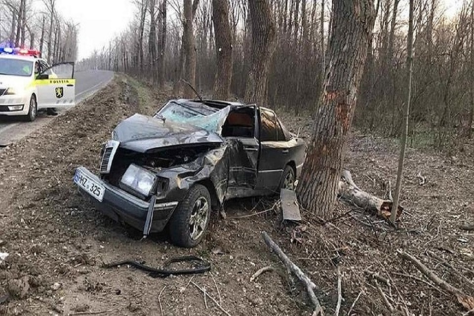 Автомобиль врезался в дерево.(Фото: unimedia.info).