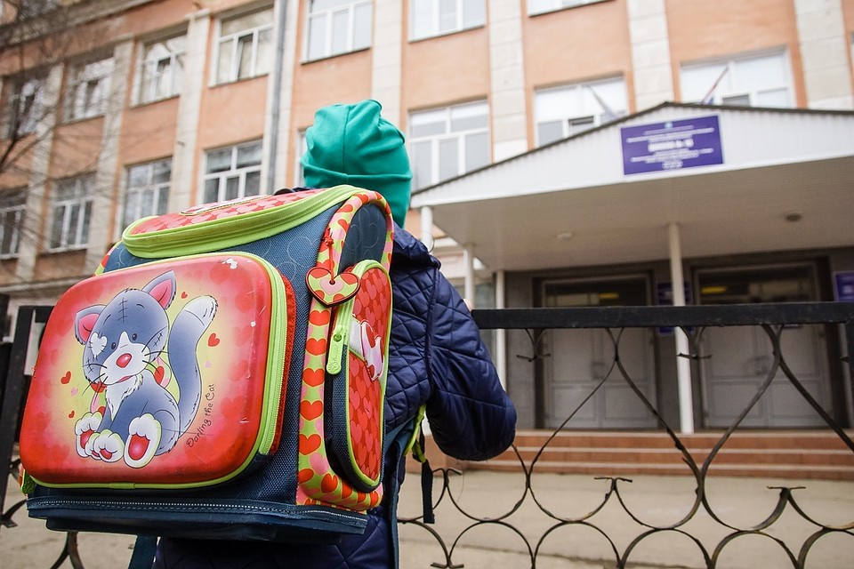 В школе детей пока не ждут, всему обещают научить дистанционно