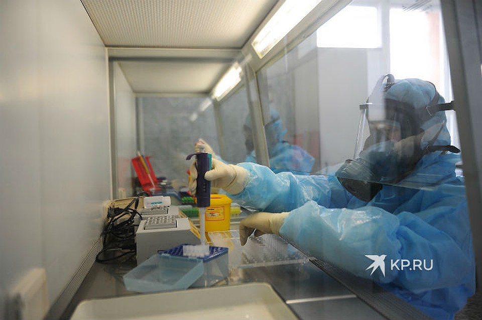 За минувшие сутки в Свердловской области проведено 1 514 исследований проб на коронавирус