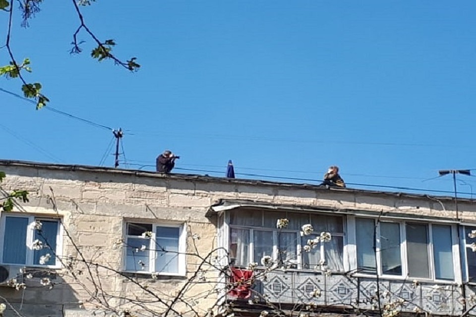 Отличный отдых можно устроить даже во время карантина!