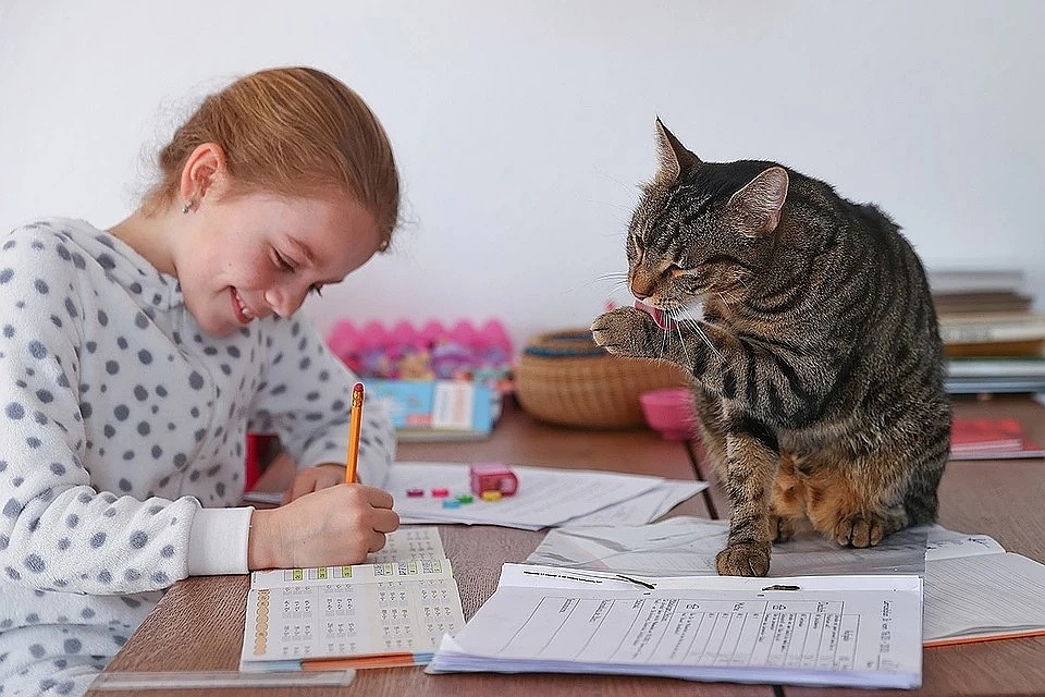 Дети учатся с удовольствием, а родители ищут опасности