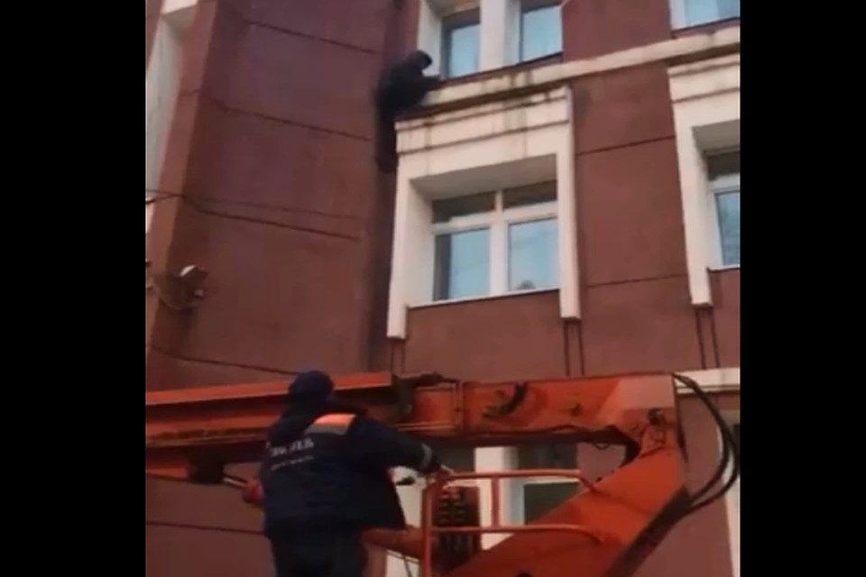 Снимать паркурщика пришлось спасателям. ФОТО: скрин с видео в группе ГУ "Центр гражданской защиты" Ярославля ВКонтакте