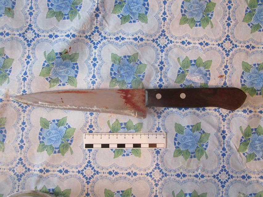 Фото: пресс-служба СКР России по Ставрополью