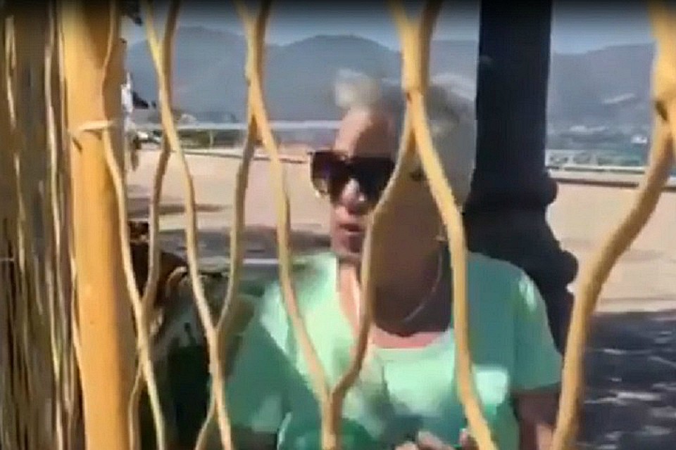 Прогуливающиеся остались по ту сторону металлической решетки. Фото: скриншот видео со страницы Александра Яменского