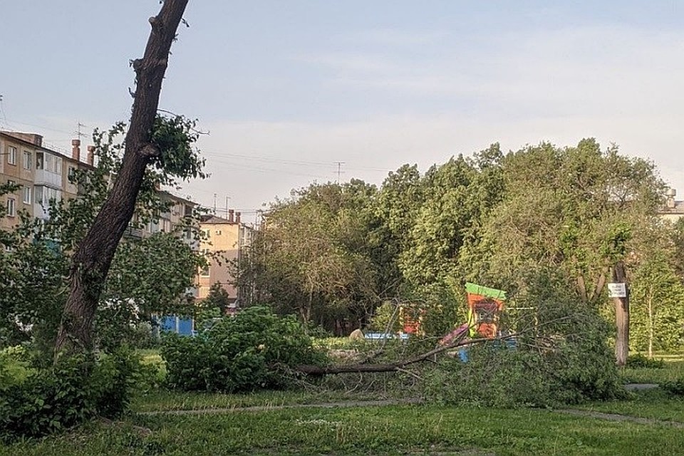 Деревья были повалены во многих кемеровских дворах.