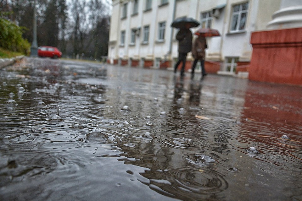 Фото: Вячеслав КОВАЛЕНКО