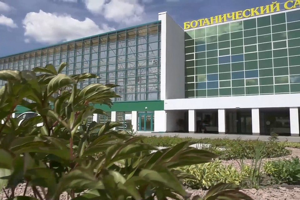 Возле ботанического сада в Кемерове построят пешеходную зону. ФОТО: кадр видео vk.com, Илья Середюк