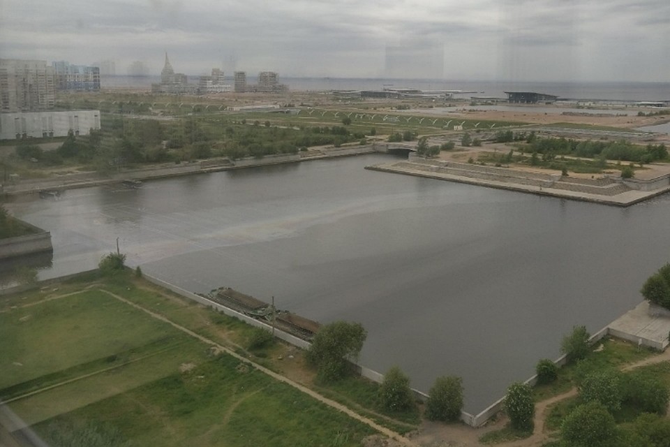 Петербуржцы сообщили о радужных пятнах в устье реки Смоленки. Фото: vk.com/parksmolenka