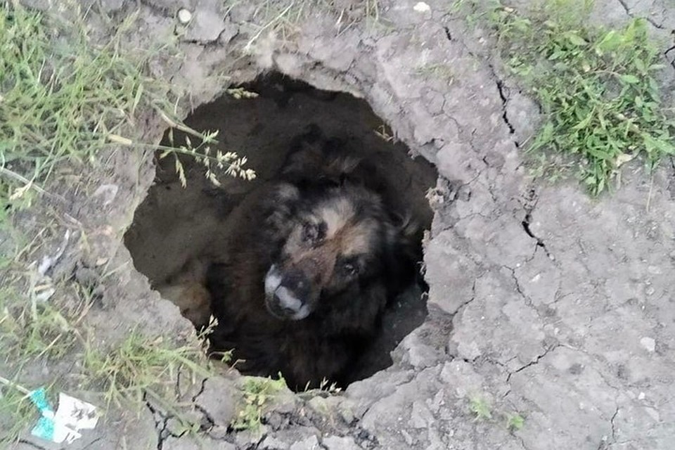 Фото: МБУ "Управление гражданской защиты Ульяновска"