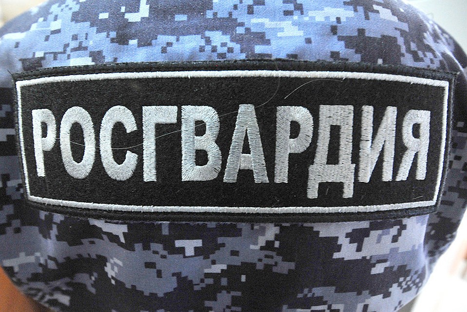 Белгородскими росгвардейцами выявлены дикие наркотикосодержащие растения.