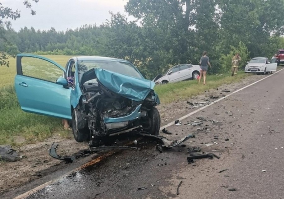 Фото с сайта ГУ МВД по Воронежской области