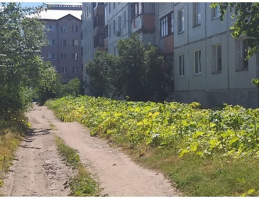 Фото с сайта губернатора псковской области