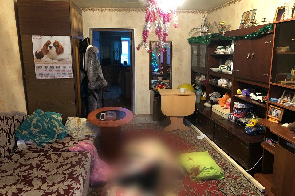 Северянин не смог сдержать свой гнев, за что пришлось нести уголовную ответственность. Фото: СУ СКР по МО