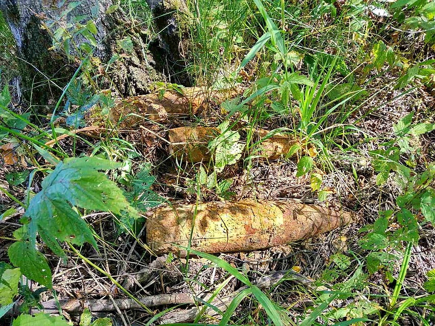 Под Угрой нашли и уничтожили «схрон» с боеприпасами. Фото: ГУ МЧС России по Смоленской области.