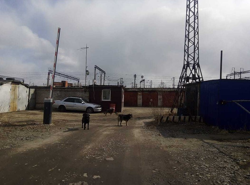 В Хабаровске будут судить подозреваемого в убийстве председателя ГСК в Первом микрорайоне