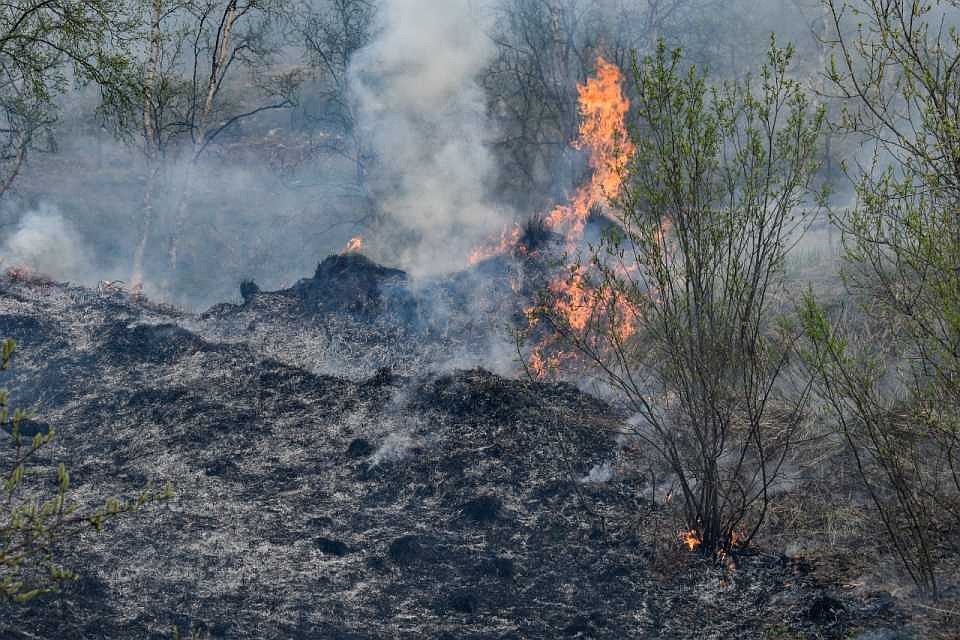 В Мурманской области сохраняется высокий класс пожарной опасности. Фото: МЧС по Мурманской области