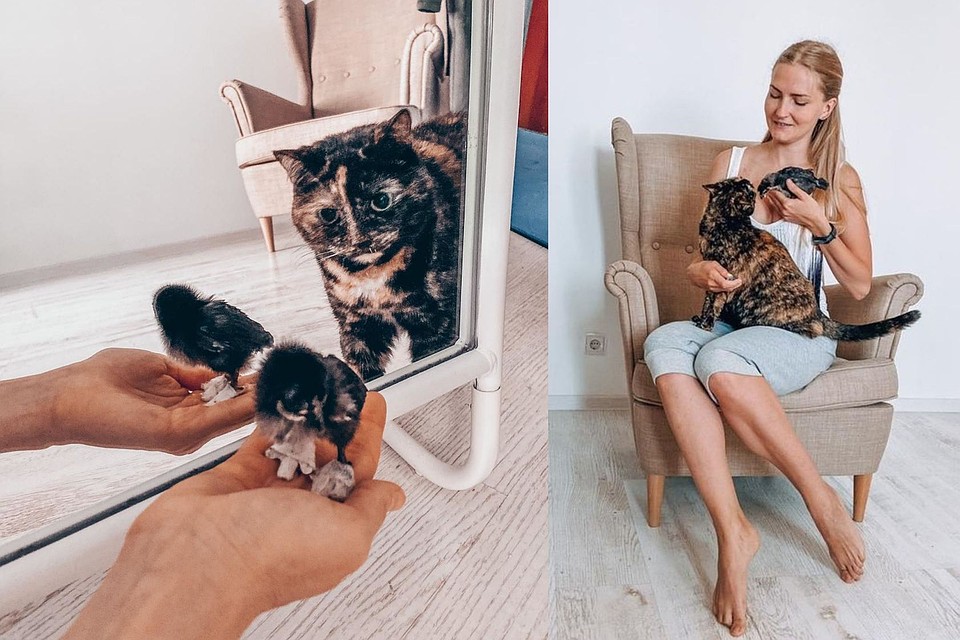 Кошка и птица очень привязаны друг к другу. Фото: instagram.com/pomurchim_gr/