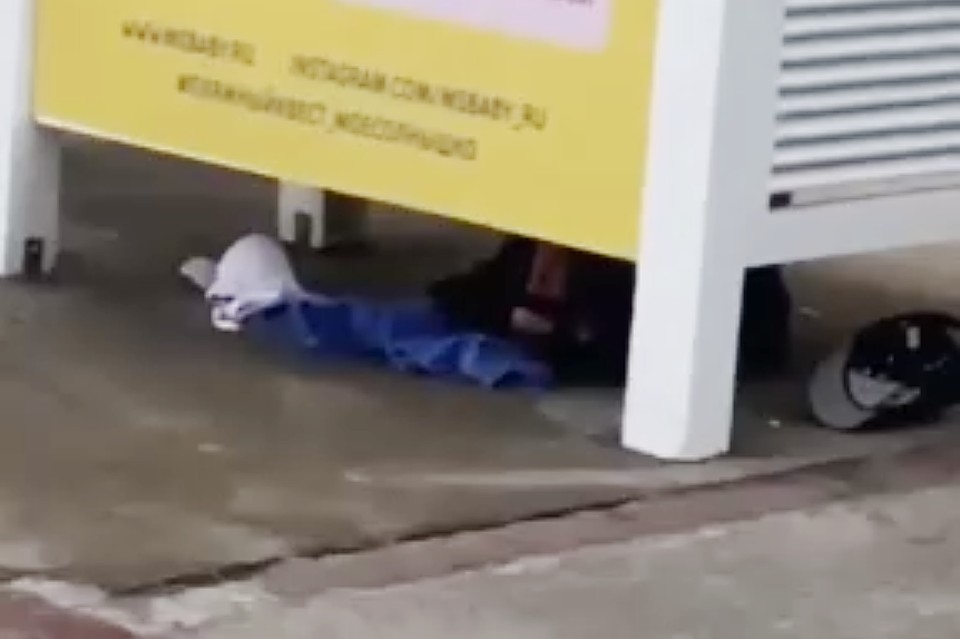 Парочку заснял один из отдыхающих на пляже. Фото: кадр из видео.
