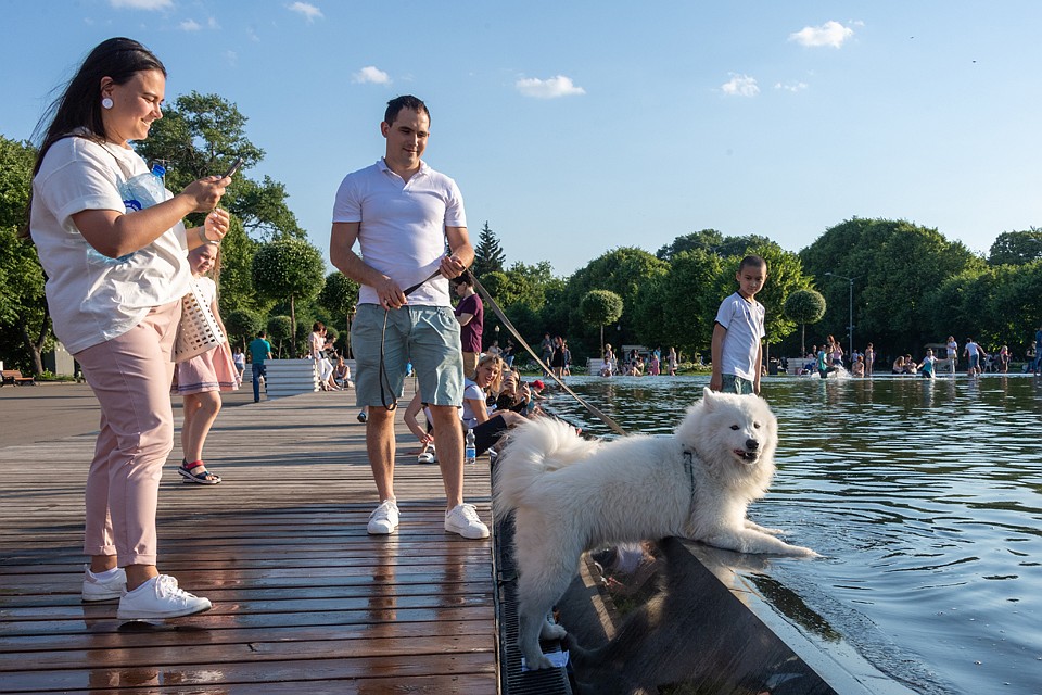 Можно смело сказать что лето в этом году состоялось.