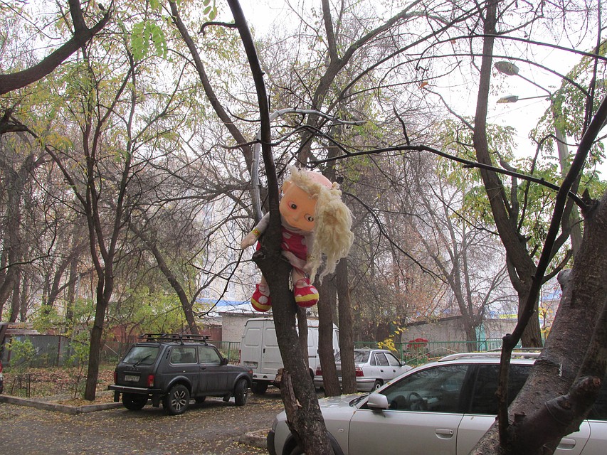 Кроме девочки в семье еще пятеро детей