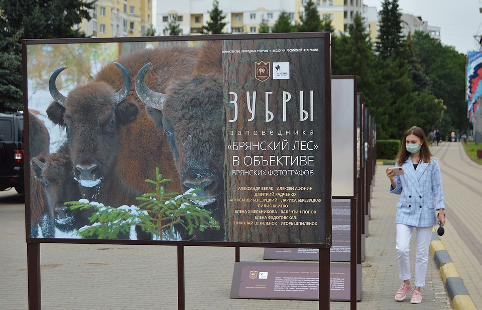 Выставка состоит из 30 фотографий, в число которых входят ещё и фотоснимки Николая Шпиленка и Игоря Шпиленка.