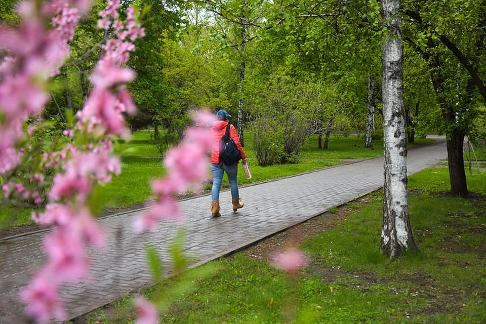 В Новосибирск вернулась прохлада.