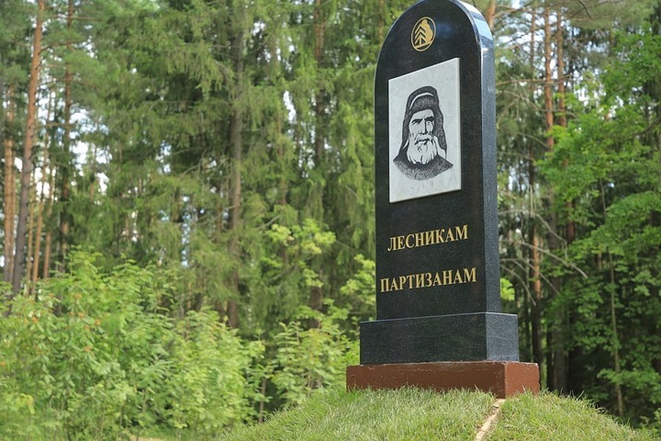 Фото: Управление лесами Брянской области.