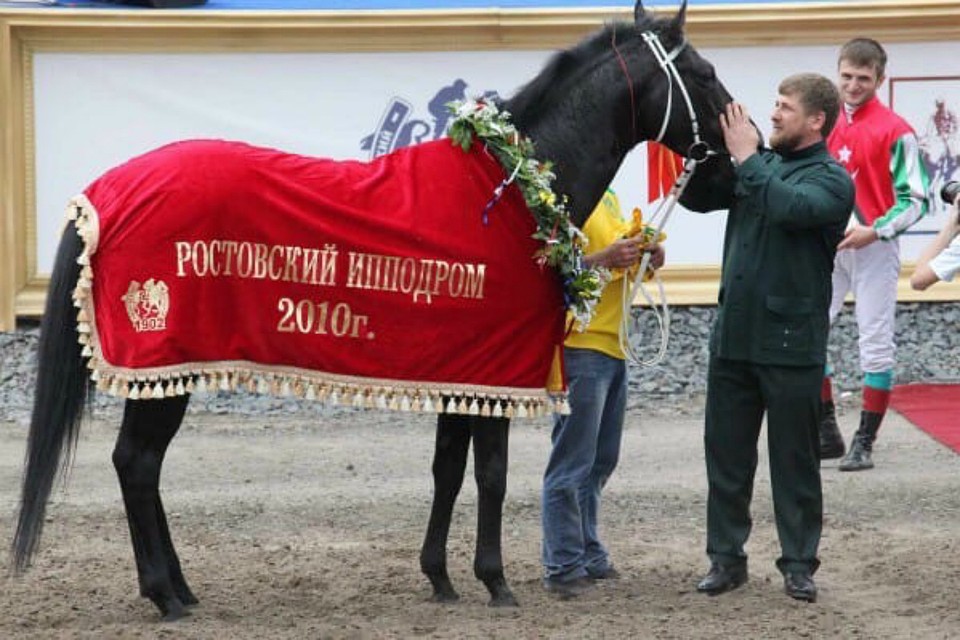 Рамзана Кадырово просят спасти от сноса ипподром в Ростове. Фото: соцсети