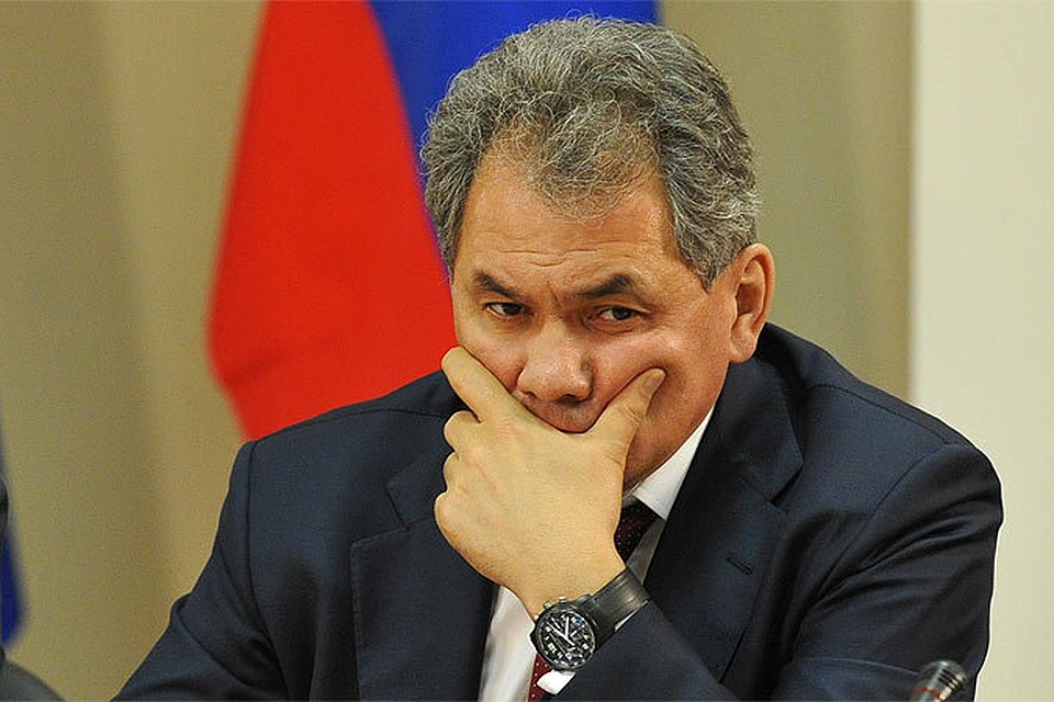 Губернатор Подмосковья Сергей Шойгу