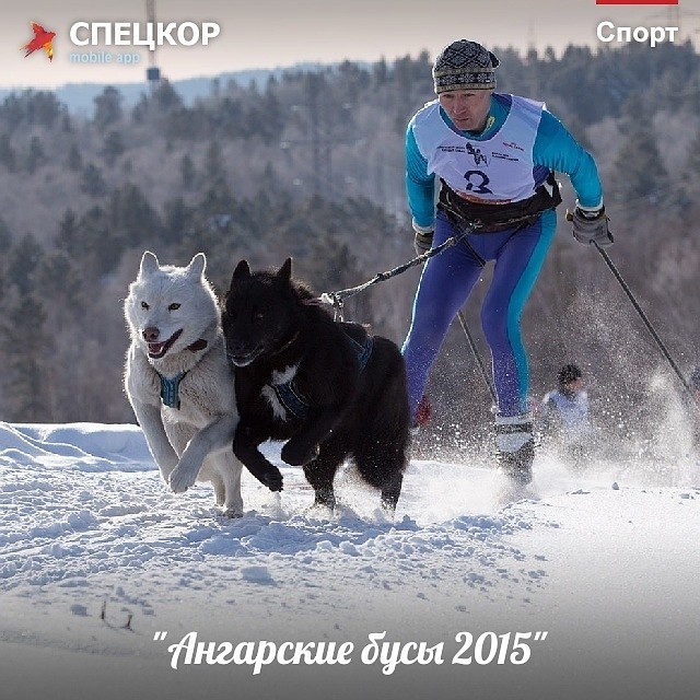 Фото: Мобильное приложение «Спецкор» от «Комсомольской правды»