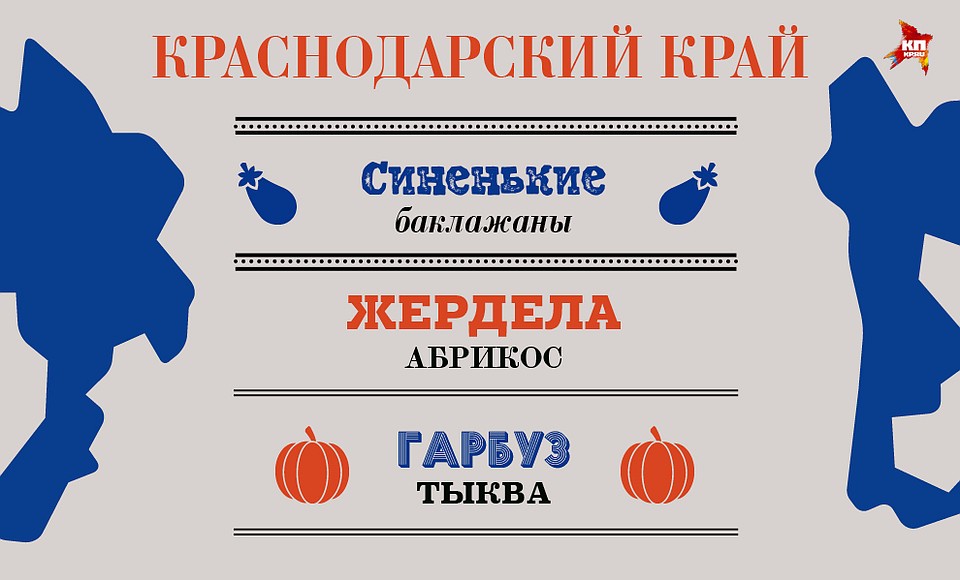 Фото: Анна ЛАТУХОВА