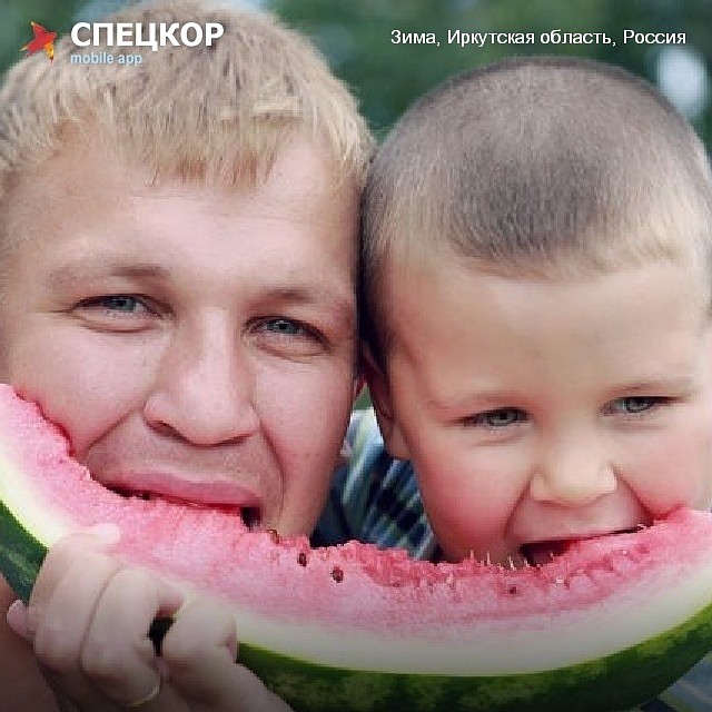 Фото: Мобильное приложение «Спецкор» от «Комсомольской правды»